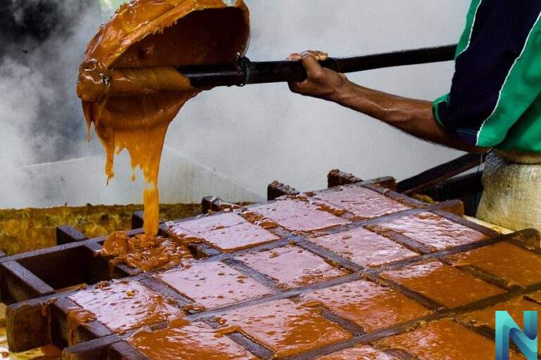 Panela: El Dulce Natural que Transforma la Cocina