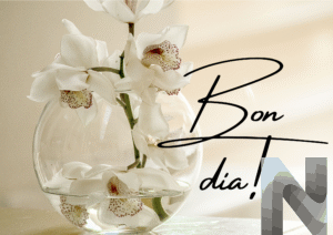 bon dia imatges noves