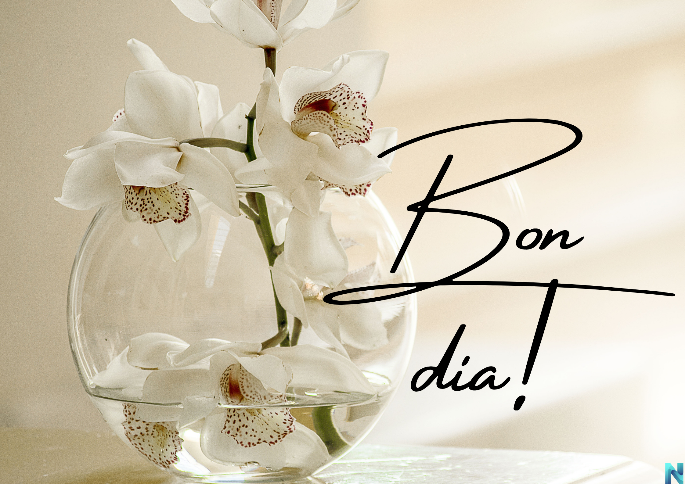 bon dia imatges noves